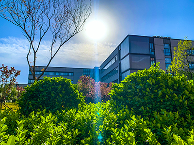 13_4_9f392d6a4c03e98.jpg